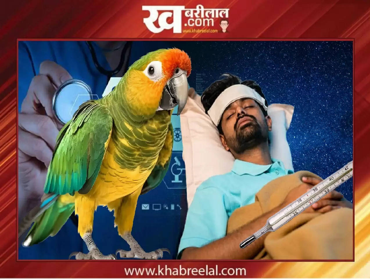 Parrot Fever