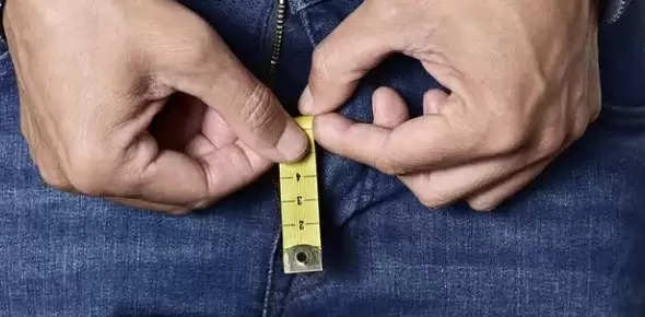penis  size