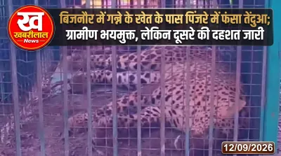 बिजनौर: शेरकोट के परमावाला में पिंजरे में कैद हुआ गुलदार