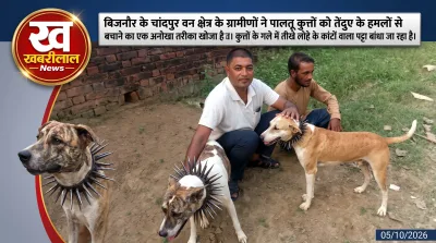Villagers in Bijnor UP made spiked collars to protect their pet dogs from leopard guldar attacks