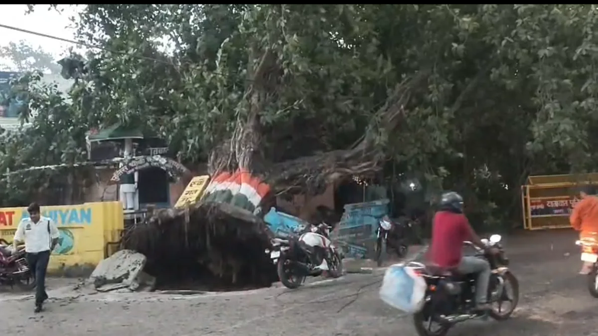 Bijnor Weather Update: बिजनौर में अचानक आए तेज आंधी-तूफान और बारिश ने मचाया भारी कहर, सिविल लाइन पुलिस चौकी और कई वाहनों पर गिरे पेड़, मची अफरा-तफरी