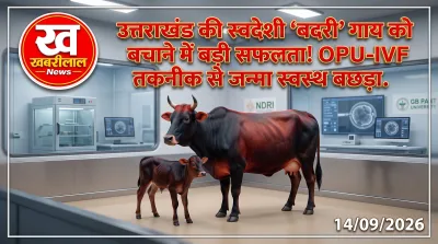 OPU-IVF तकनीक से जन्मी उत्तराखंड की देसी 'बद्री' नस्ल की बछिया और वैज्ञानिक।