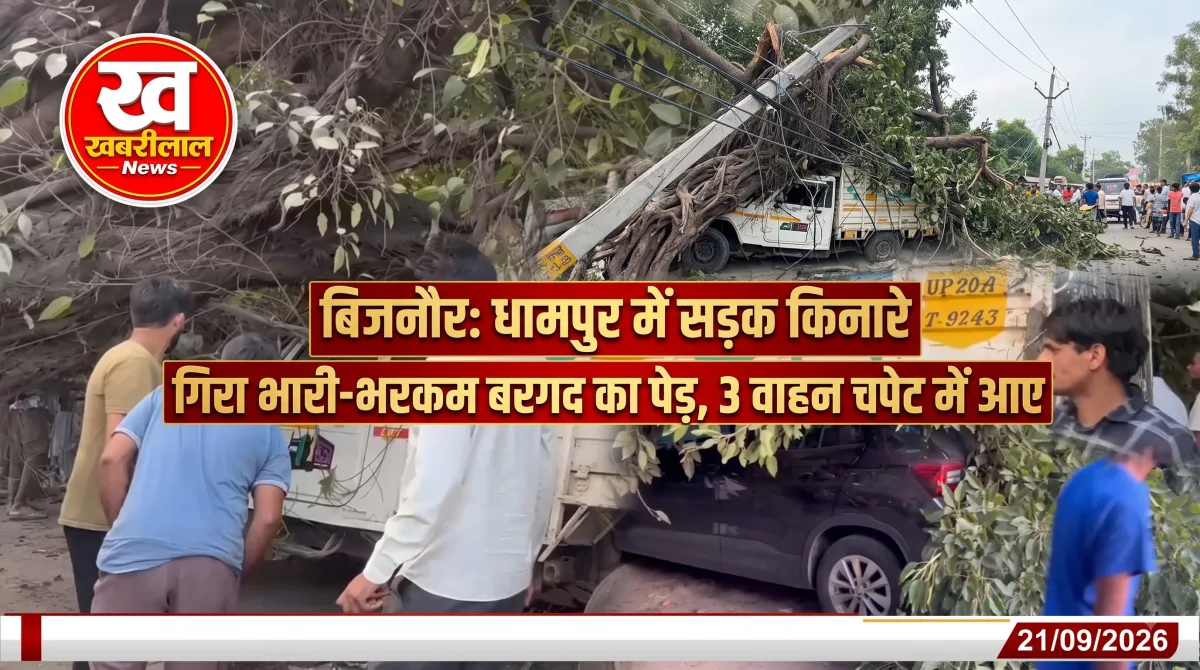बिजनौर के धामपुर में सड़क पर गिरा भारी-भरकम बरगद का पेड़ और चपेट में आए वाहन