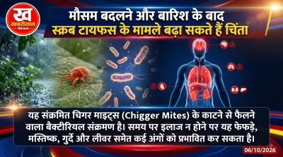 Scrub Typhus symptoms and chigger mite infection awareness