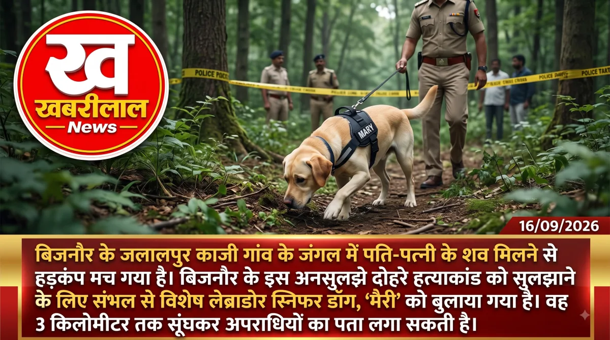 बिजनौर के जंगल में पुलिस जांच में मदद करती हुई डॉग स्क्वॉड की स्निफर डॉग 'मैरी' की प्रतीकात्मक तस्वीर